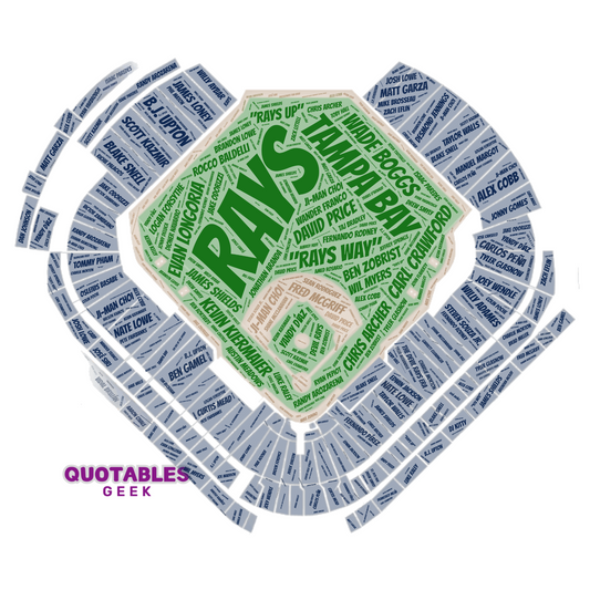 Tampa Bay Baseball - Stadium Edition
